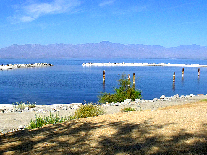 Salton Sea