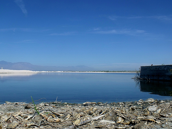 Salton Sea