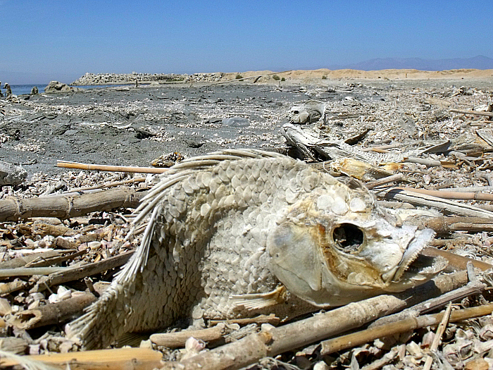 Bombay Beach, California