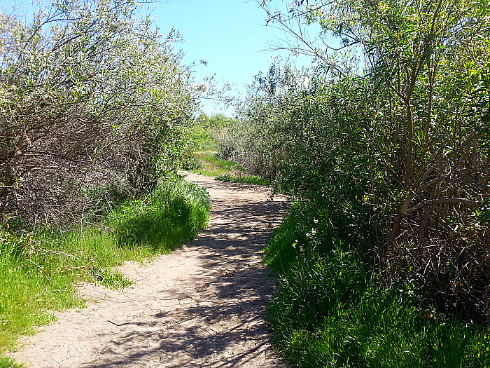 Peter's Canyon Regional Park - Orange, California