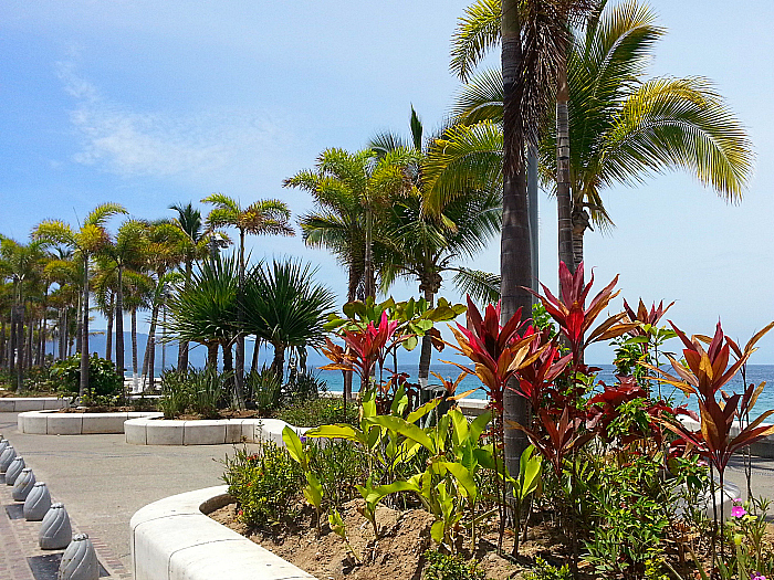 Malecon, Puerto Vallarta, Mexico