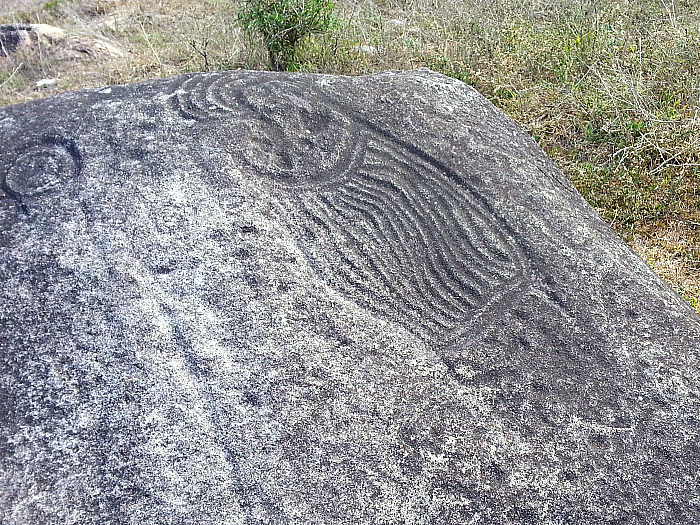 Petroglyphs on the Vallarta Adventures Hidden Mexico Tour