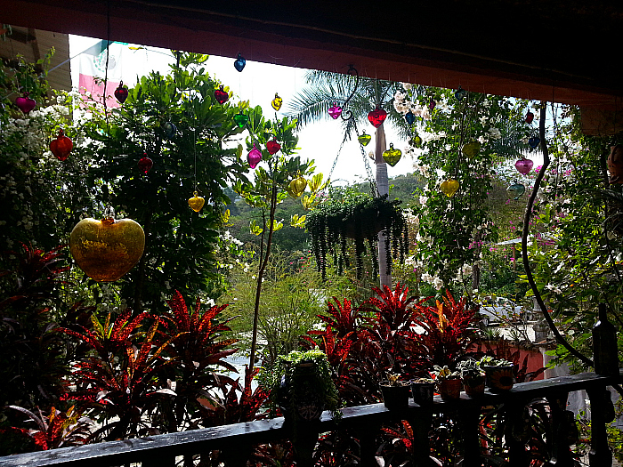 Botanical Garden - Vallarta Adventures Hidden Mexico Tour