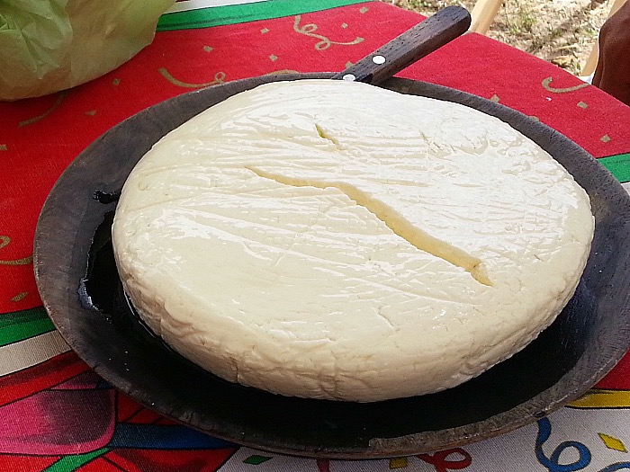 Fresh Panela Cheese - Vallarta Adventures Hidden Mexico Tour