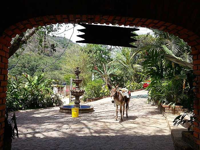 Dona Chanita Tequila Distillery - Vallarta Adventures Hidden Mexico Tour