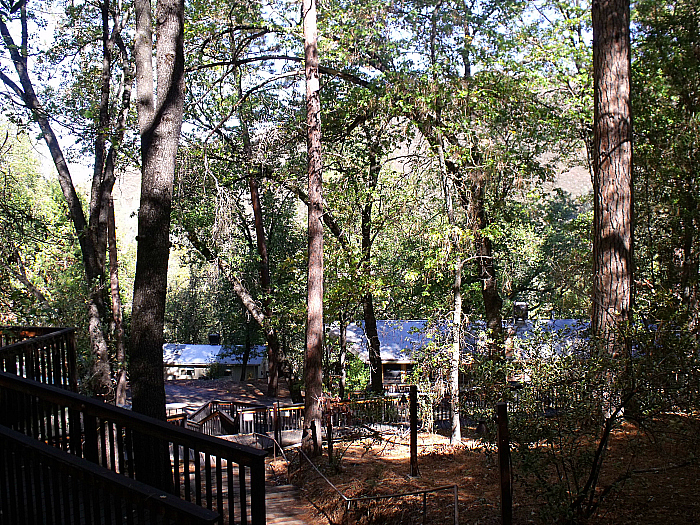 Yosemite Bug Rustic Mountain Resort