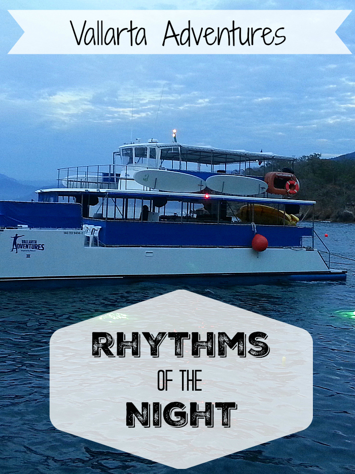 Vallarta Adventures Rhythms of The Night