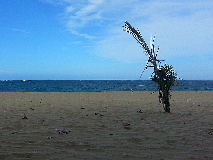 Playa Dorada - Dominican Republic