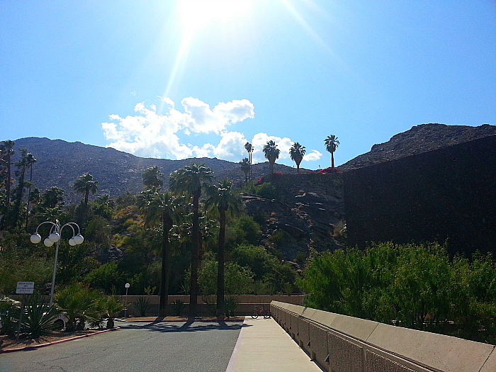 Palm Springs Art Museum