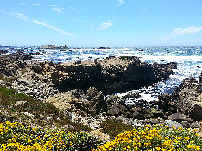 17 Mile Drive - Pebble Beach, California