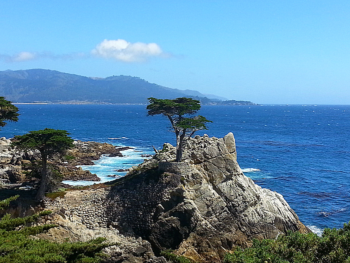 The Lone Cypress - 17 Mile Drive - Pebble Beach, California