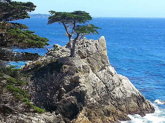 The Lone Cypress - 17 Mile Drive - Pebble Beach, California