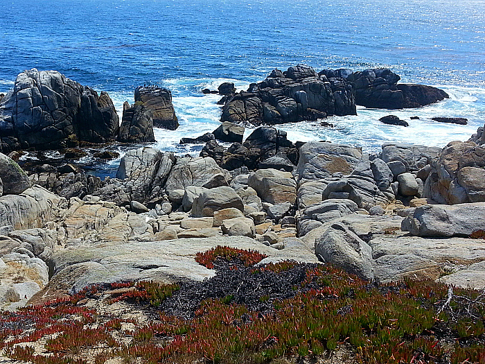 17 Mile Drive - Pebble Beach, California