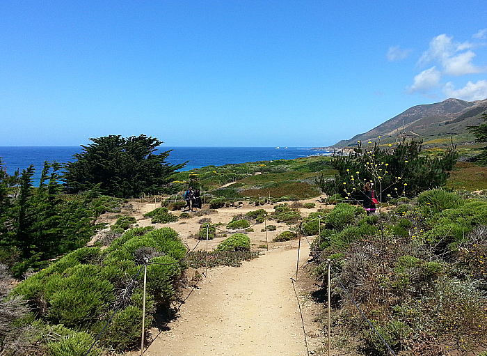 Garrapata State Park Beach