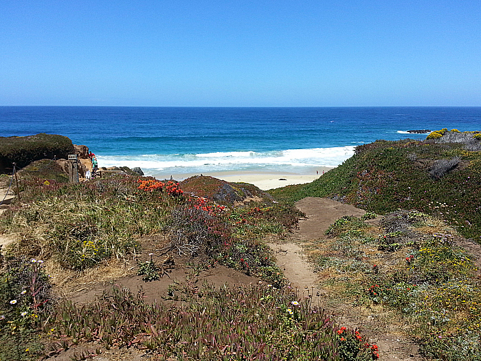 Garrapata State Park Beach