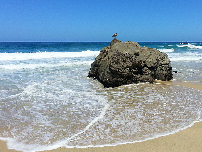 Garrapata State Park Beach