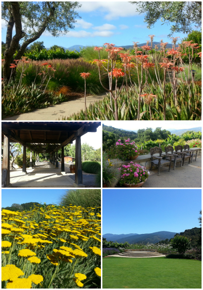 Holman Ranch Vineyard Guest Rooms