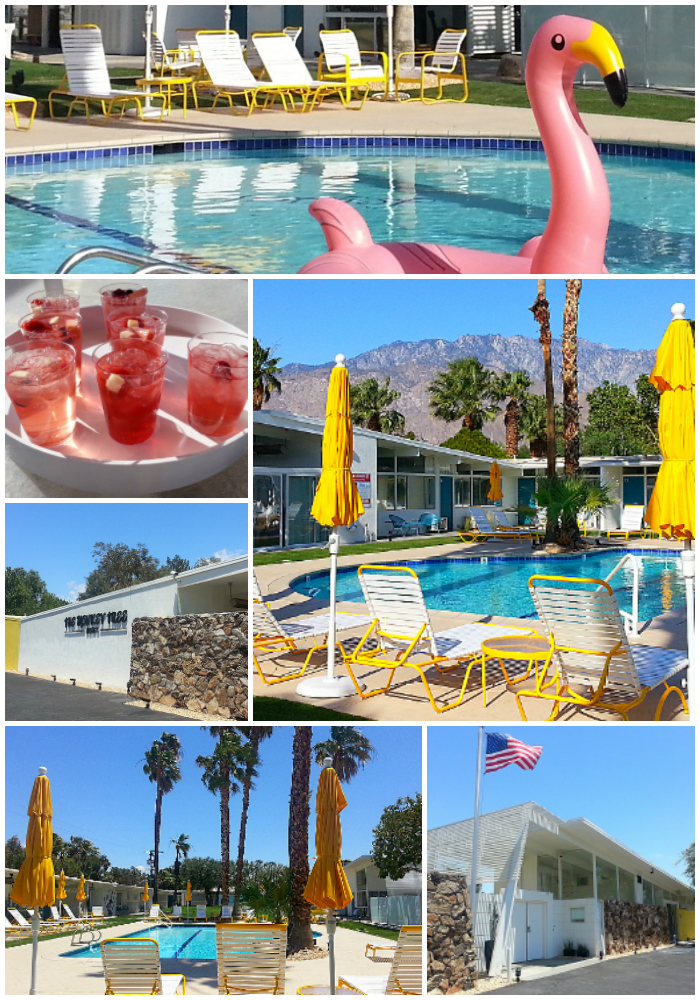 The Monkey Tree Hotel in Palm Springs