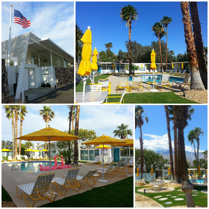 The Monkey Tree Hotel in Palm Springs