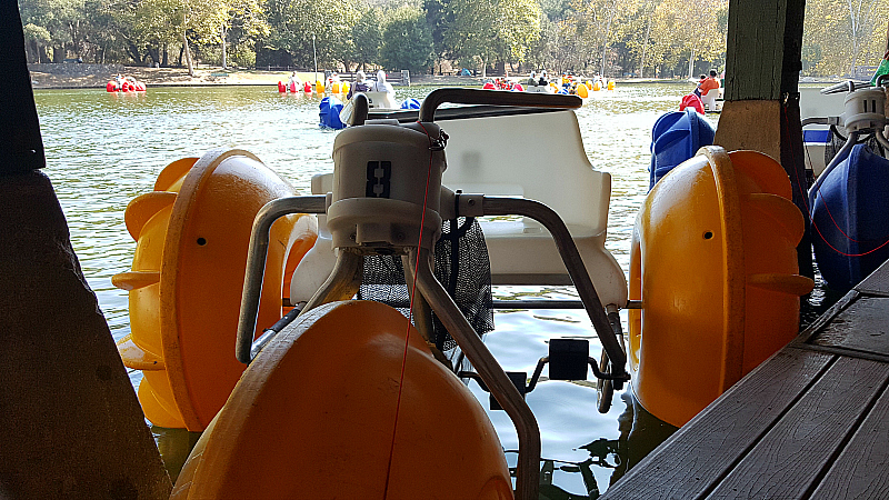 Paddleboats at Irvine Regional Park