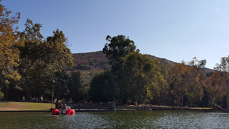 Paddleboats at Irvine Regional Park