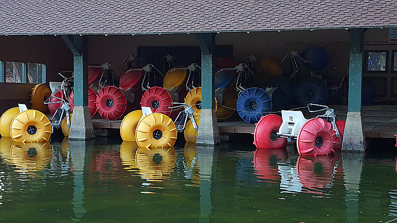 Paddleboats at Irvine Regional Park