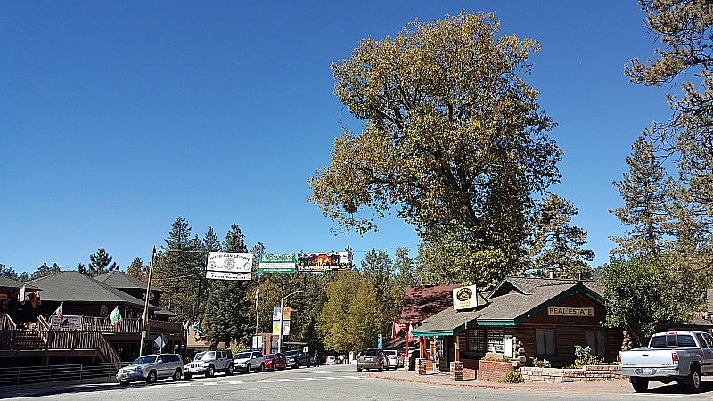 An Afternoon in Idyllwild