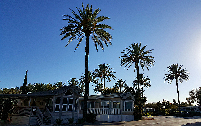 The Cottages at Golden Village Palms - Hemet, California