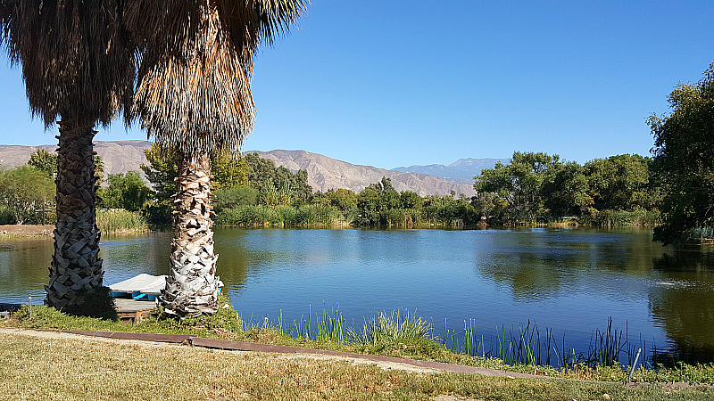 California Equine Retirement Foundation - San Jacinto, California