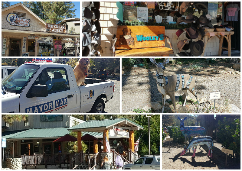 An Afternoon in Idyllwild