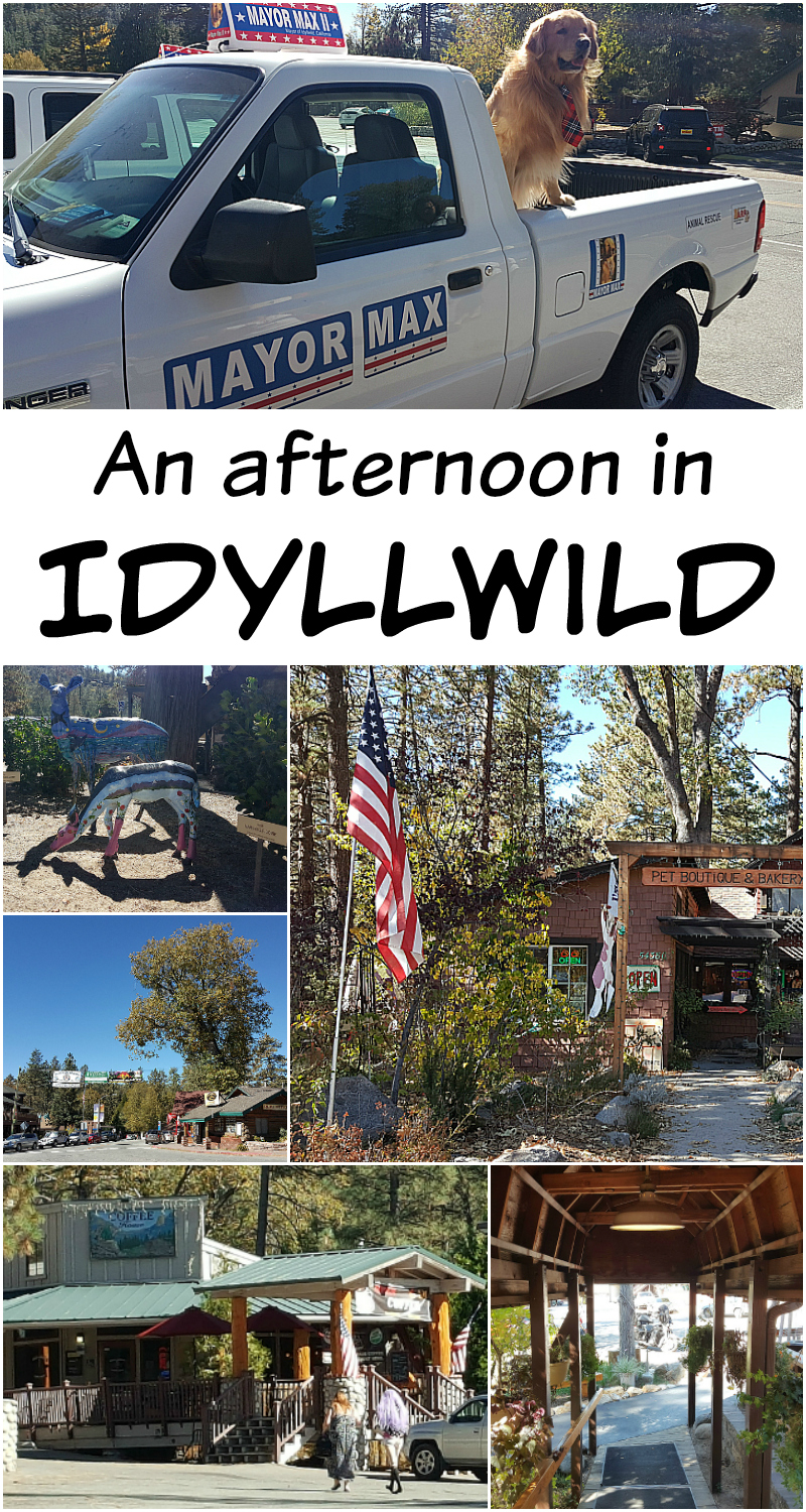 An Afternoon in Idyllwild