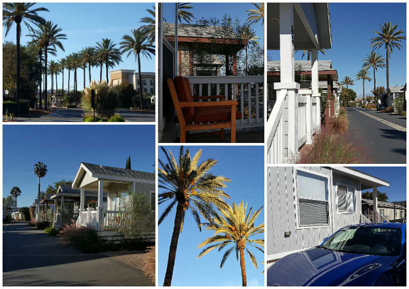 The Cottages at Golden Village Palms - Hemet, California