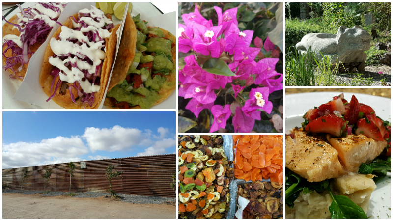 Visiting Tijuana and Rosarito Beach