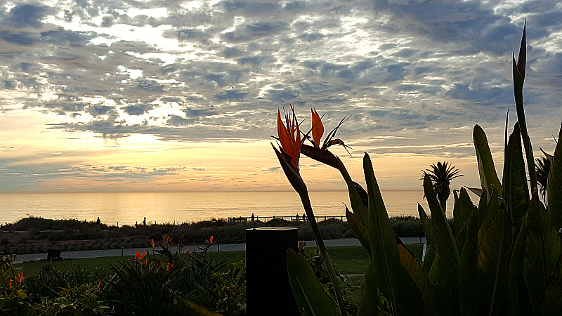 Sunset at Terranea in Palos Verdes