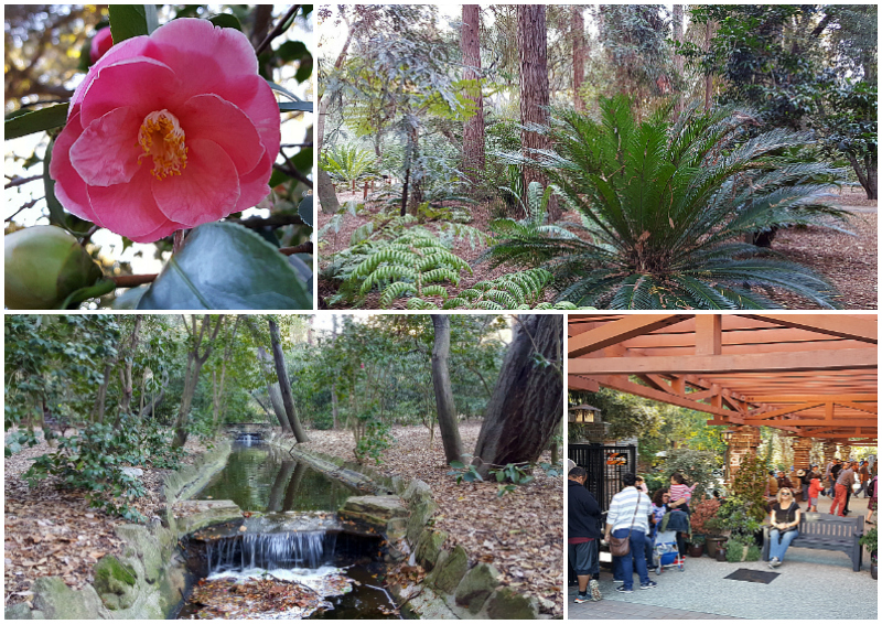 Descanso Gardens in La Canada Flintridge