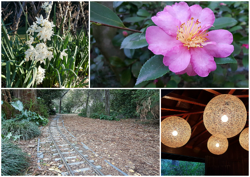 Descanso Gardens in La Canada Flintridge