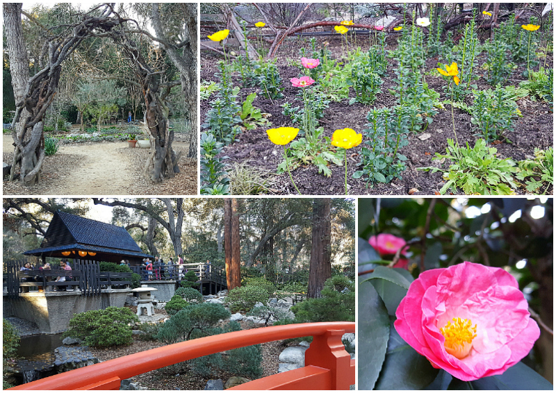 Descanso Gardens in La Canada Flintridge