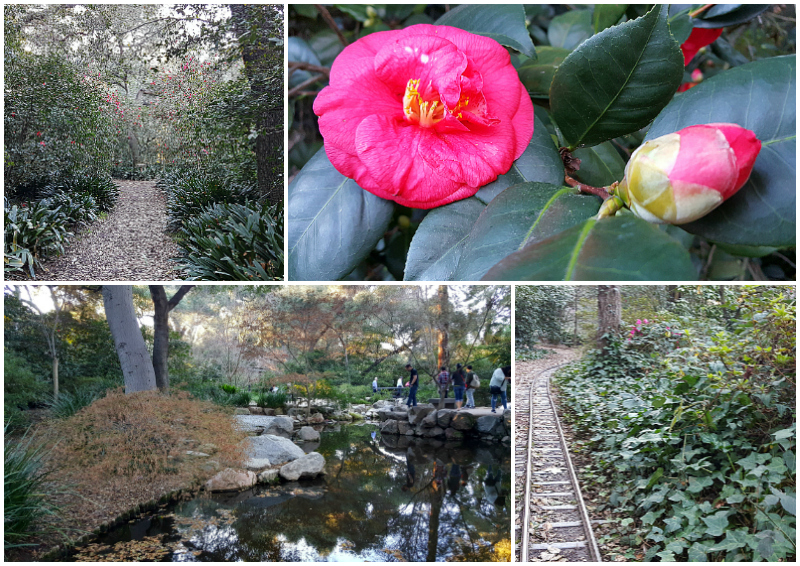 Descanso Gardens in La Canada Flintridge