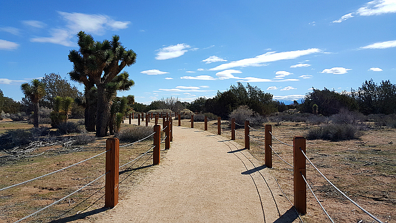 Prime Desert Woodland Preserve in Lancaster