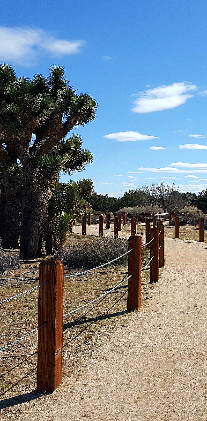 Prime Desert Woodland Preserve in Lancaster