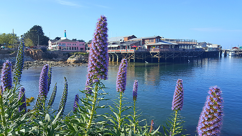 A Spring Visit to Old Fisherman's Wharf in Monterey