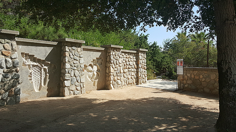 Wildflowers at Rancho Santa Ana Botanic Garden in Claremont