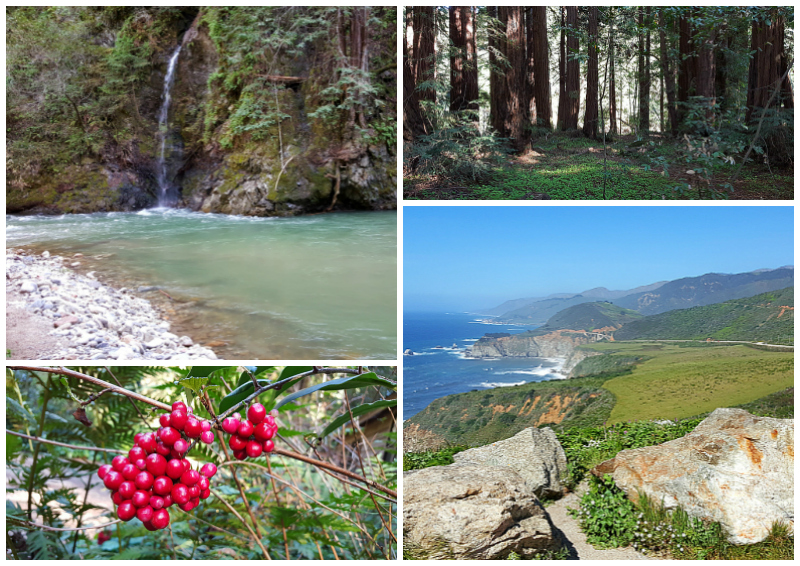 Can I still go to Big Sur? Yes!