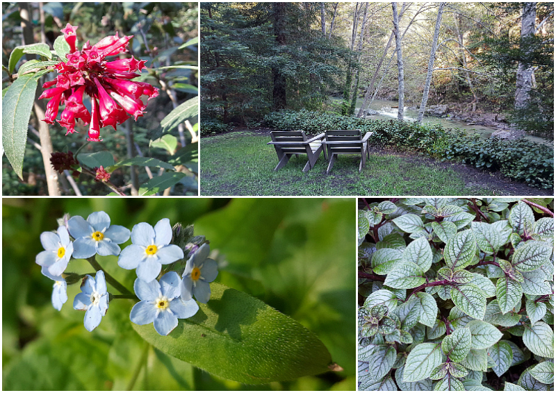 Big Sur Getaway at Glen Oaks