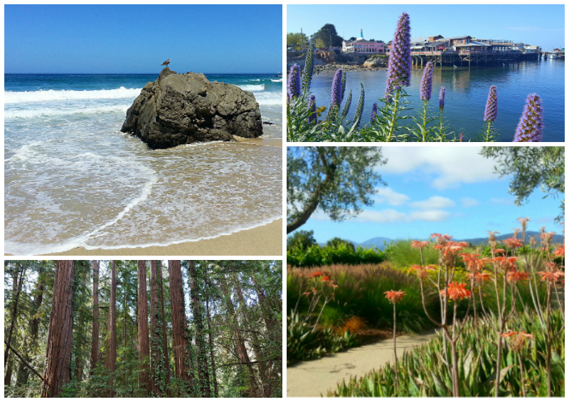 5 Fun Places to Go in Monterey County