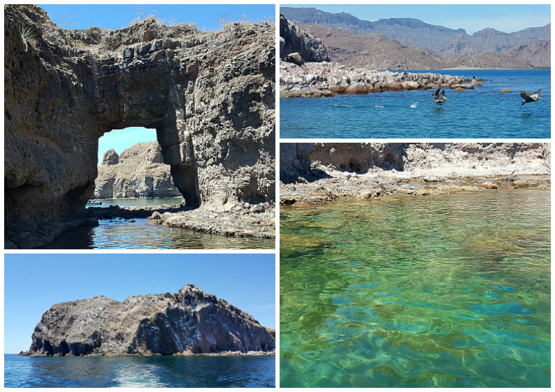 Boat Tour of The Islands of Loreto