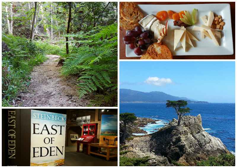 5 Fun Places to Go in Monterey County