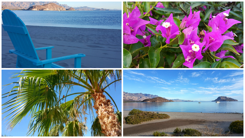 Villa del Palmar Islands of Loreto