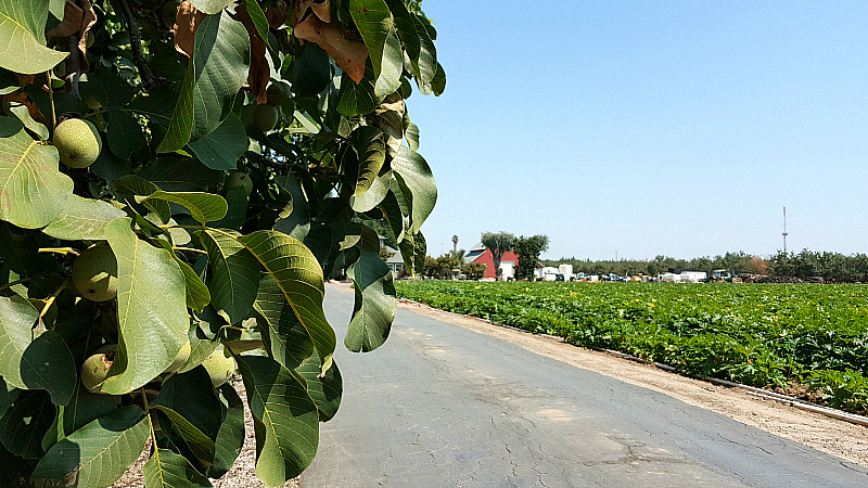 California Central Valley Farm Tour