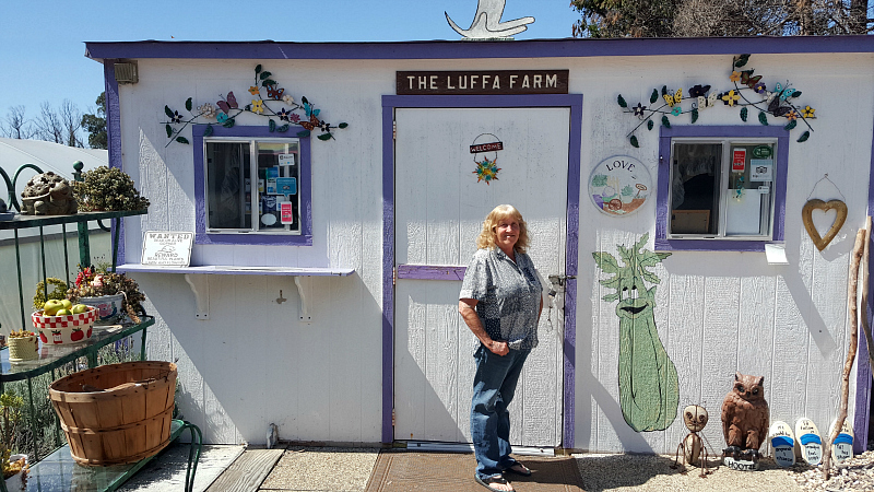 The Luffa Farm Tour in Nipomo, California